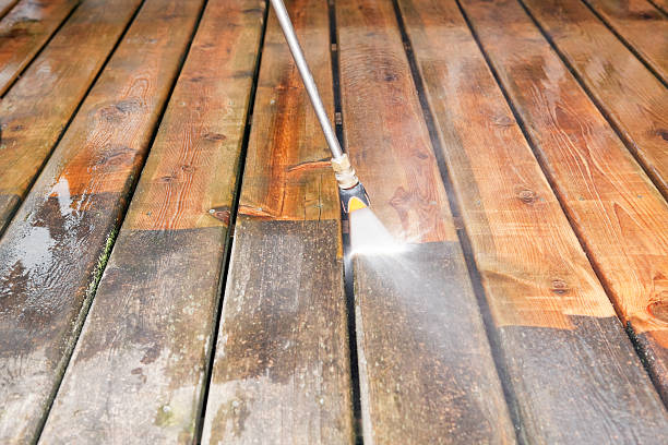 Best Solar Panel Cleaning  in Lowry Crossing, TX